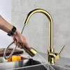 Bathroom, Home Decor, Brass Stainless Steel Golden Torneira Gourmet Kitchen Sink Faucets Single Handle Pull Out Kitchen Faucets With Pull Down Sprayer